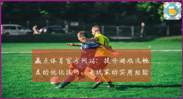 赢点体育官方网站：提升游戏流畅度的优化技巧，老玩家的实用经验分享
