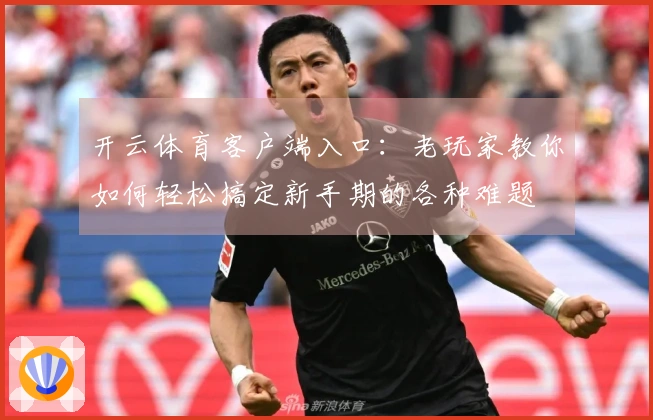 开云体育客户端入口：老玩家教你如何轻松搞定新手期的各种难题